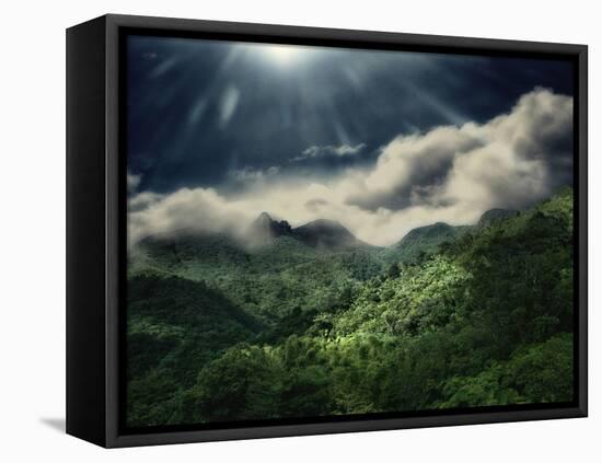 El Yunque National Park-Andrea Costantini-Framed Premier Image Canvas