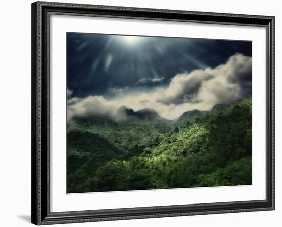El Yunque National Park-Andrea Costantini-Framed Photographic Print