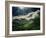 El Yunque National Park-Andrea Costantini-Framed Photographic Print