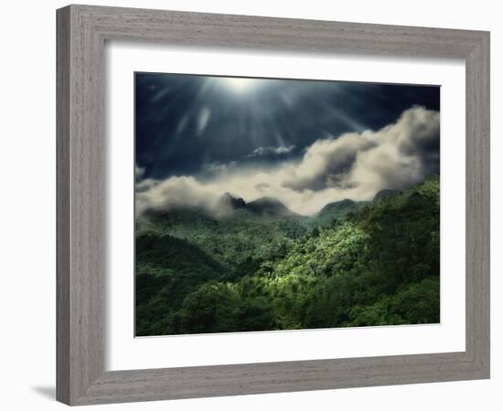 El Yunque National Park-Andrea Costantini-Framed Photographic Print