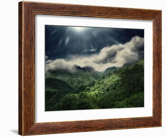 El Yunque National Park-Andrea Costantini-Framed Photographic Print