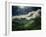 El Yunque National Park-Andrea Costantini-Framed Photographic Print