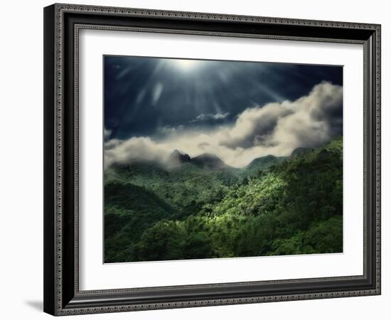 El Yunque National Park-Andrea Costantini-Framed Photographic Print