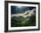 El Yunque National Park-Andrea Costantini-Framed Photographic Print