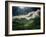 El Yunque National Park-Andrea Costantini-Framed Photographic Print