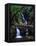 Elabana Falls-Bill Ross-Framed Premier Image Canvas