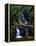 Elabana Falls-Bill Ross-Framed Premier Image Canvas