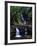 Elabana Falls-Bill Ross-Framed Photographic Print