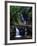 Elabana Falls-Bill Ross-Framed Photographic Print