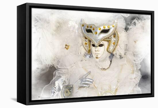 Elaborate Costume for Carnival, Venice, Italy-Darrell Gulin-Framed Premier Image Canvas