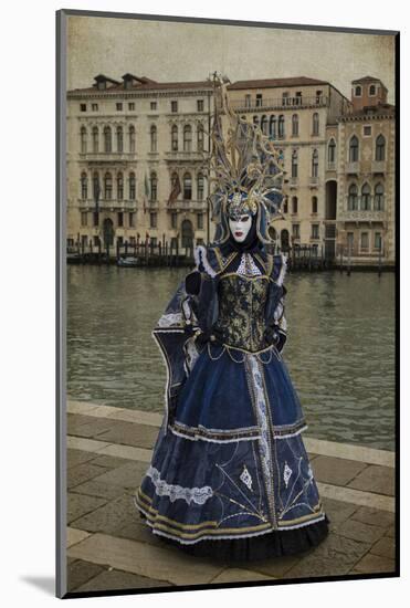 Elaborate Costume for Carnival, Venice, Italy-Darrell Gulin-Mounted Photographic Print