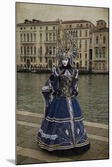 Elaborate Costume for Carnival, Venice, Italy-Darrell Gulin-Mounted Photographic Print