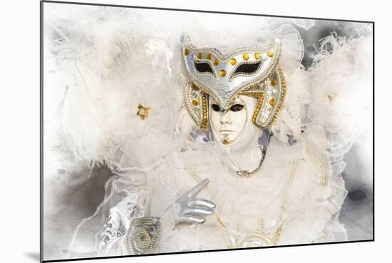 Elaborate Costume for Carnival, Venice, Italy-Darrell Gulin-Mounted Photographic Print
