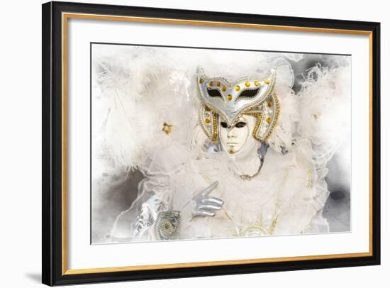 Elaborate Costume for Carnival, Venice, Italy-Darrell Gulin-Framed Photographic Print