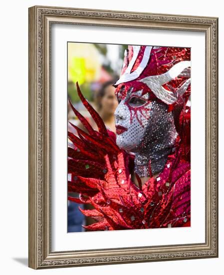 Elaborately Costume, Fort-De-France, Martinique, French Antilles, West Indies-Scott T. Smith-Framed Photographic Print
