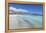 Elafonisi Beach, West Coast, Natural Park, Red Sand, Crete, Greek Islands, Greece, Europe-Markus Lange-Framed Premier Image Canvas