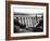 Elan Valley Dam-Fred Musto-Framed Photographic Print