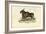 Eland, 1863-79-Raimundo Petraroja-Framed Giclee Print