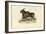 Eland, 1863-79-Raimundo Petraroja-Framed Giclee Print