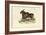 Eland, 1863-79-Raimundo Petraroja-Framed Giclee Print