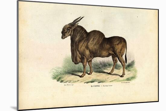 Eland, 1863-79-Raimundo Petraroja-Mounted Giclee Print