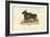 Eland, 1863-79-Raimundo Petraroja-Framed Giclee Print