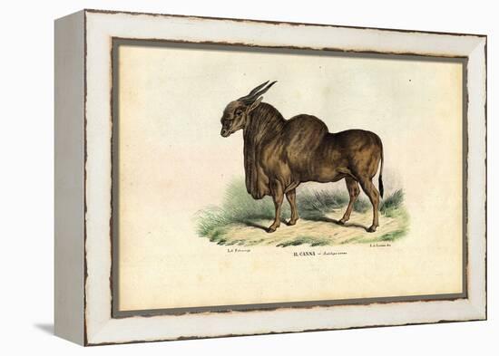 Eland, 1863-79-Raimundo Petraroja-Framed Premier Image Canvas