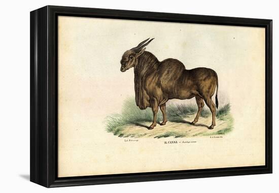 Eland, 1863-79-Raimundo Petraroja-Framed Premier Image Canvas