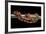 Elaphe Guttata Guttata (Corn Snake)-Paul Starosta-Framed Photographic Print