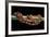 Elaphe Guttata Guttata (Corn Snake)-Paul Starosta-Framed Photographic Print