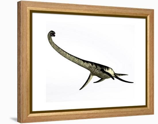 Elasmosaurus Marine Reptile from the Cretaceous Period-Stocktrek Images-Framed Stretched Canvas