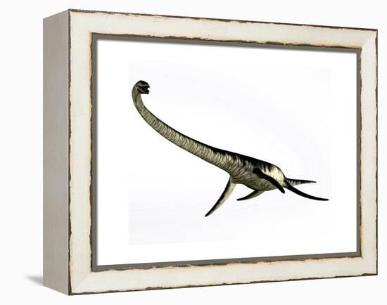 Elasmosaurus Marine Reptile from the Cretaceous Period-Stocktrek Images-Framed Stretched Canvas