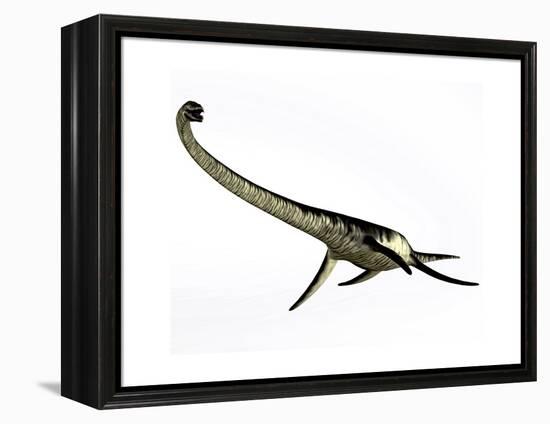 Elasmosaurus Marine Reptile from the Cretaceous Period-Stocktrek Images-Framed Stretched Canvas