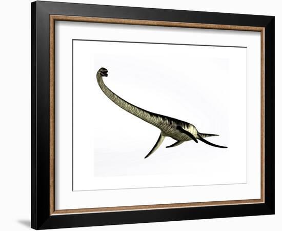 Elasmosaurus Marine Reptile from the Cretaceous Period-Stocktrek Images-Framed Art Print