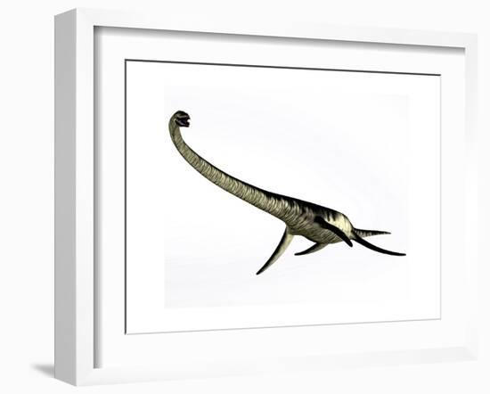 Elasmosaurus Marine Reptile from the Cretaceous Period-Stocktrek Images-Framed Art Print