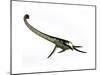 Elasmosaurus Marine Reptile from the Cretaceous Period-Stocktrek Images-Mounted Art Print
