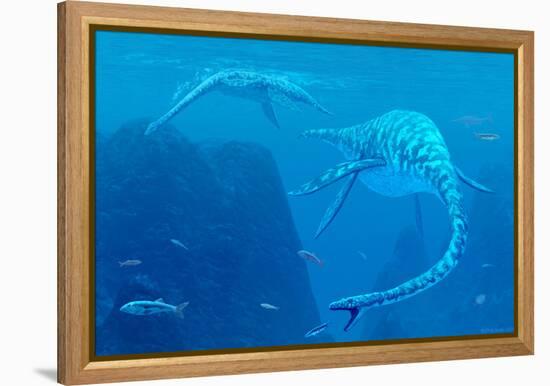 Elasmosaurus Marine Reptiles-Chris Butler-Framed Premier Image Canvas