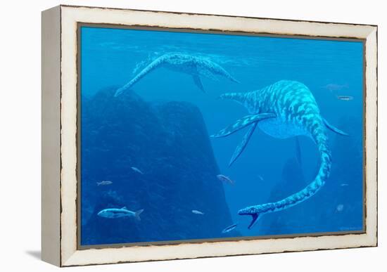 Elasmosaurus Marine Reptiles-Chris Butler-Framed Premier Image Canvas