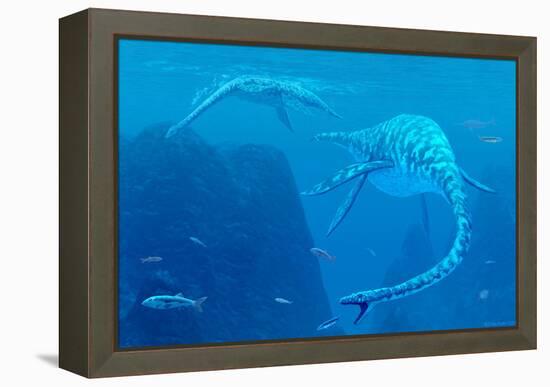 Elasmosaurus Marine Reptiles-Chris Butler-Framed Premier Image Canvas