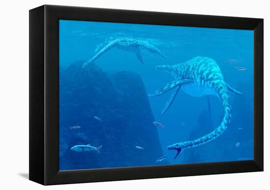 Elasmosaurus Marine Reptiles-Chris Butler-Framed Premier Image Canvas