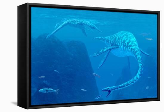 Elasmosaurus Marine Reptiles-Chris Butler-Framed Premier Image Canvas