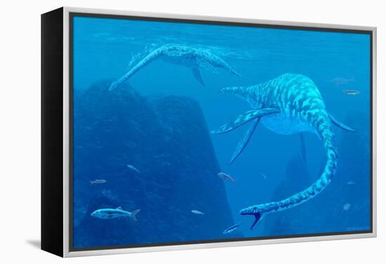 Elasmosaurus Marine Reptiles-Chris Butler-Framed Premier Image Canvas