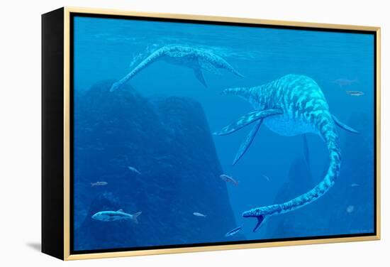 Elasmosaurus Marine Reptiles-Chris Butler-Framed Premier Image Canvas