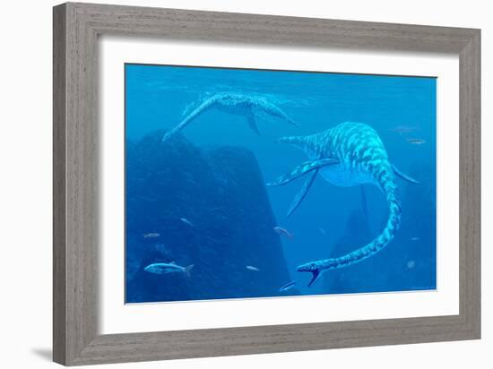 Elasmosaurus Marine Reptiles-Chris Butler-Framed Photographic Print