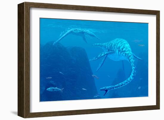 Elasmosaurus Marine Reptiles-Chris Butler-Framed Photographic Print