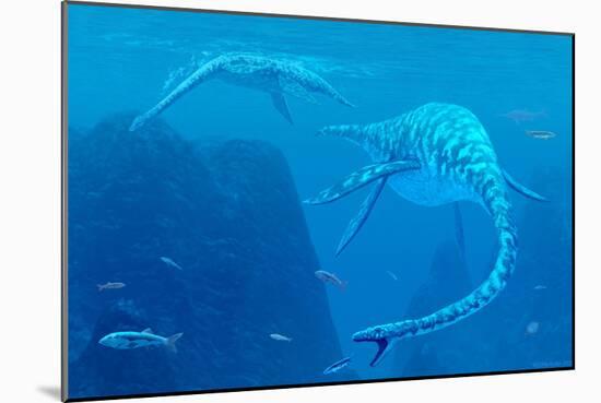 Elasmosaurus Marine Reptiles-Chris Butler-Mounted Photographic Print