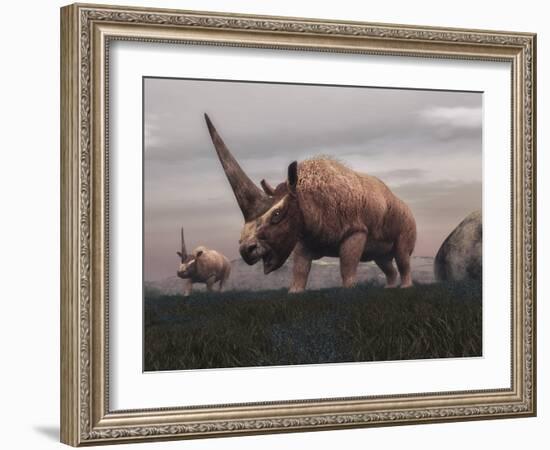 Elasmotherium Dinosaurs Grazing in the Steppe Grass-Stocktrek Images-Framed Art Print