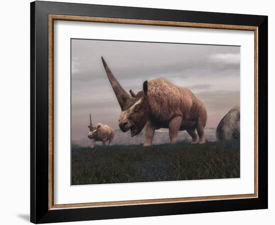 Elasmotherium Dinosaurs Grazing in the Steppe Grass-Stocktrek Images-Framed Art Print