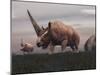 Elasmotherium Dinosaurs Grazing in the Steppe Grass-Stocktrek Images-Mounted Art Print