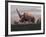 Elasmotherium Dinosaurs Grazing in the Steppe Grass-Stocktrek Images-Framed Art Print